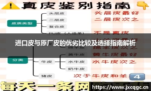 进口皮与原厂皮的优劣比较及选择指南解析